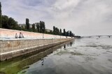 Общественница о цветении и замусоренности Волги вдоль набережной: «Появился характерный запах болота»