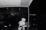 Саратовец нашёл оригинальный способ заработать на «встречи с девушками» в Энгельсе: возбуждено уголовное дело