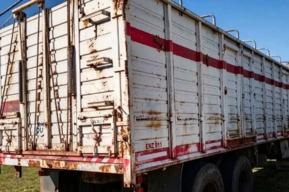 В регионе задержали машину с 200 баранами и овцами: причина