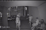Полиция заинтересовалась историей о нападении на мальчика и девочку в Энгельсе