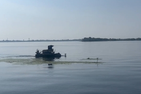 Мэрия отчиталась, что Волгу возле набережной почистили от мусора и водорослей