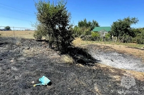 Пенсионер попытался потушить загоревшуюся траву и не выжил