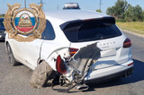 У села в Энгельсском районе столкнулись Porsche и «Веста»: один из водителей в больнице