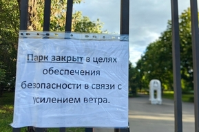 Мэр Саратова сообщил, что из-за сильного ветра в городе закроют для посетителей четыре парка