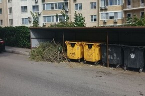 Саратовский регоператор: число обращений из-за навалов растительных и строительных отходов выросло более чем на треть