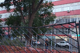«Запреты ввели, а места для выгула не обеспечили»: саратовцы недовольны плохим состоянием площадок для собак в центре города