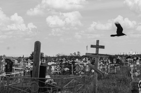 В Энгельсе трёх женщин, которые занимались незаконной торговлей, заставили работать на кладбище 