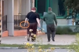 Пропажа фигурок бычков в Энгельсе: чиновники заявили о видеозаписи с похитителями