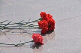 Чиновники сообщили о гибели четырёх жителей региона в ходе СВО