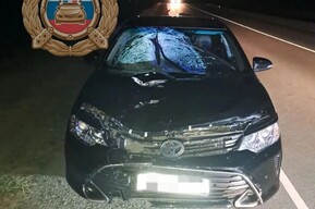 Ночью в Энгельсском районе водитель Toyota насмерть сбил пешехода