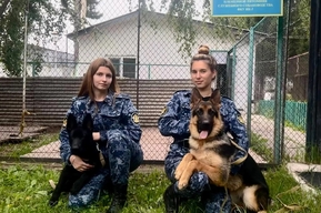 Из Саратова в исправительную колонию другого региона отправили двух племенных собак
