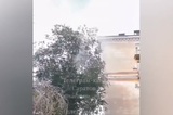 На Мичурина забил коммунальный фонтан выше крыш (видео)