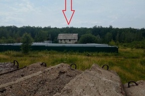 «Мы/я реально в полной жопе»: признанный незаконным приют в хуторе Маяк, где в ужасающих условиях содержатся более 200 собак, до сих пор не ликвидирован