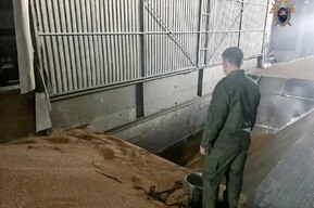 В райцентре рабочего насмерть засыпало зерном