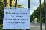 Дождь и сильный ветер: в Саратове закрыли четыре парка