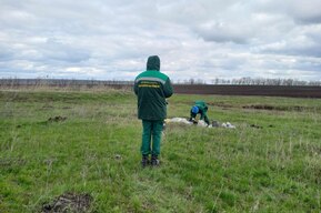 Фекалии на 11 миллионов: Росприроднадзор подал крупный иск из-за свалки возле скандально известного «рабским» трудом и насилием Озёрного интерната