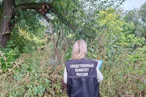 В Баланде нашли мертвую женщину. Проводится проверка