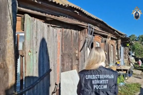 В Саратовской области в больнице умерли женщина и двое детей: следователи предполагают, что они отравились