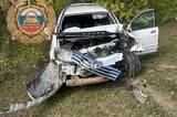 За день на дорогах области пострадали пять человек
