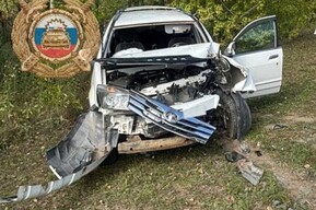 За день на дорогах области пострадали пять человек