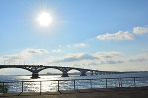 День сердца. Для здоровья горожанам предлагают пройти 10 тысяч шагов