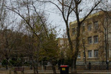 В Энгельсе рядом со школой вырубят деревья и сделают площадку для сдачи экзамена на права