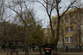 В Энгельсе рядом со школой вырубят деревья и сделают площадку для сдачи экзамена на права