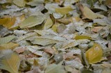 На выходных в Саратовской области возможны первые заморозки: губернатор Бусаргин поставил вопрос об отоплении