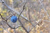 В Саратовской области похолодает до -6