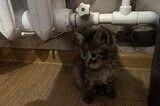 Отопсезон. В одном из районов региона открыли горячую линию по вопросам подачи тепла в объекты соцсферы