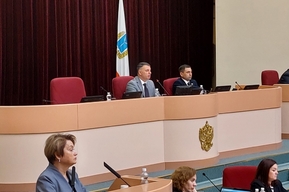 В Саратовской гордуме избрали глав комитетов 