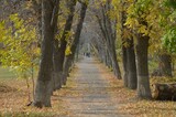 Жителей Саратовской области ждут тёплые выходные: столбики термометров поднимутся до 24 градусов