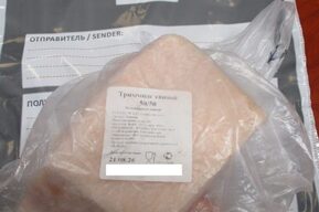 В Саратовской области фермер сдал на мясокомбинат свинину с запрещённым веществом