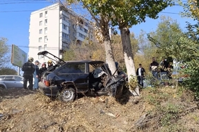 На Ново-Астраханском шоссе ВАЗ влетел в дерево: один человек погиб, четверо несовершеннолетних пострадали