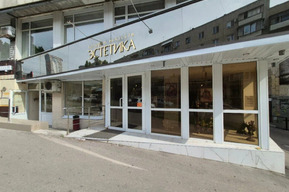 «Развитие туризма»: областное минкультуры намерено отсудить три миллиона у владельца галереи «Эстетика»