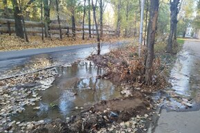 «Забивают чопик, которого хватает на год»: горожанка пожаловалась на нескончаемый потоп и бесполезные раскопки «Саратовводоканала»