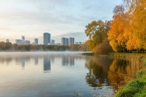 Жителя региона заставили снести террасу и настил на берегу московского пруда