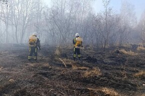 Глава минприроды заявил о стабилизации обстановки у села Лох, где с выходных горит лес